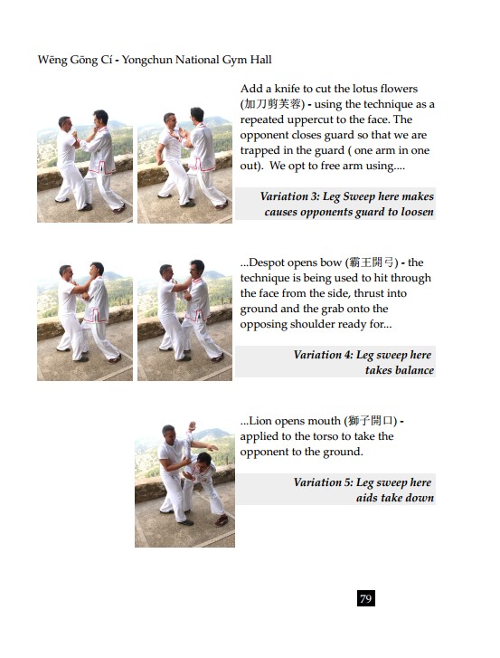 Kung Fu Book